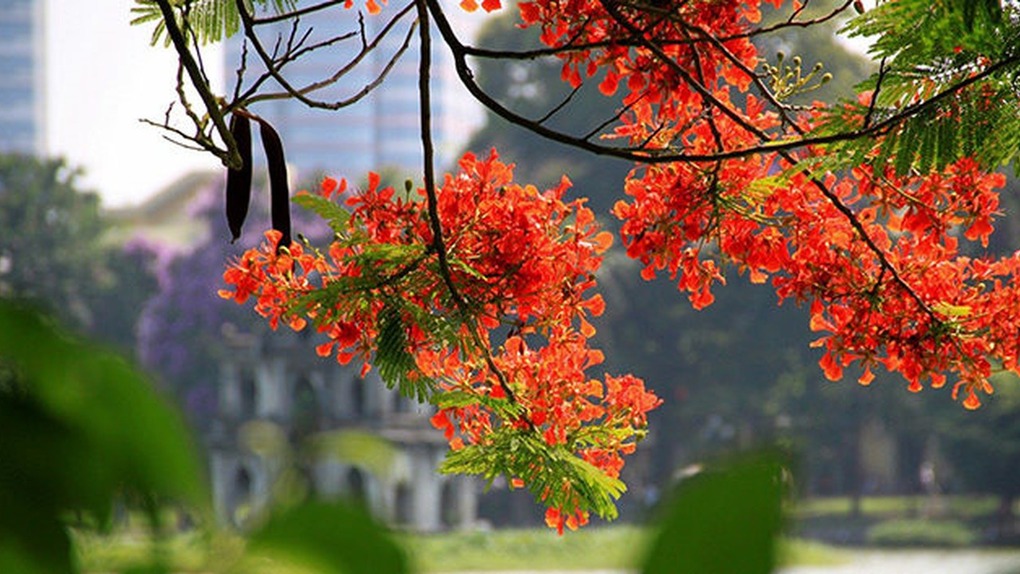 Hà Nội trong mắt tôi