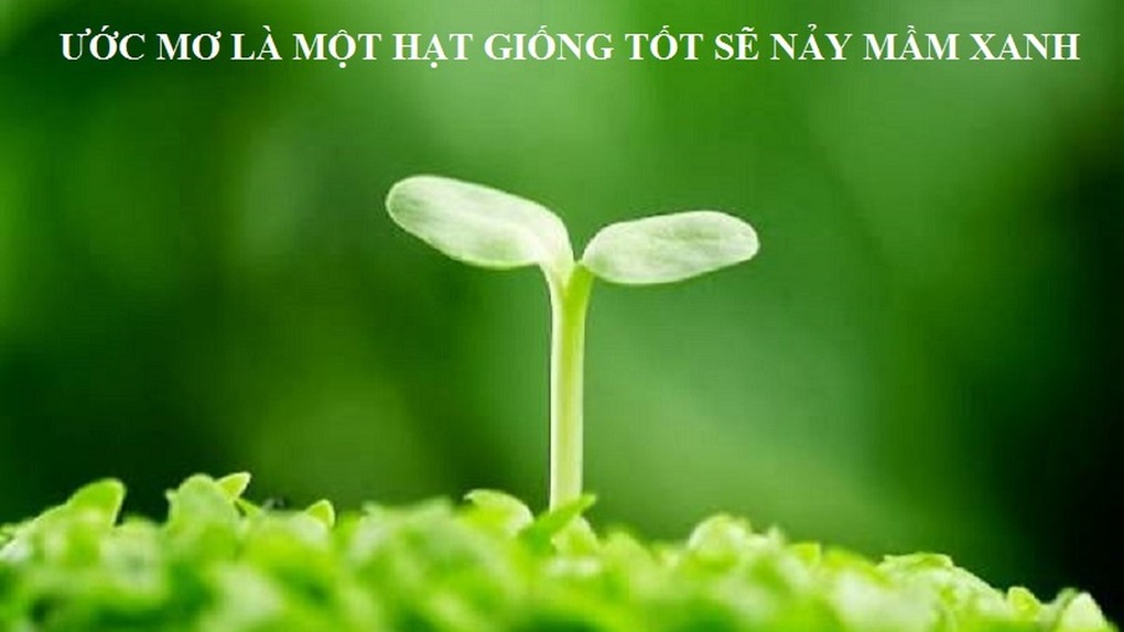 Ước mơ là một hạt giống tốt sẽ nảy mầm xanh