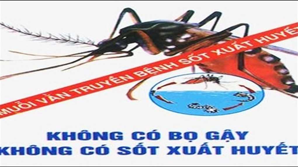 Phòng chống bệnh sốt xuất huyết