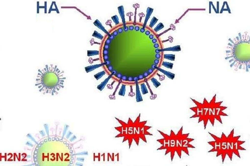 Cúm A và những điều cần lưu ý