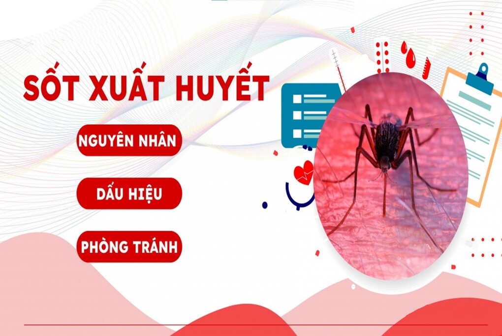 Tuyên truyền phòng chống bệnh Sốt xuất huyết