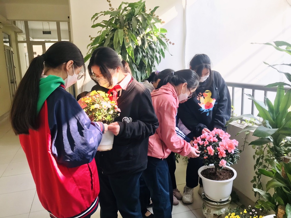 Cho mùa xuân thêm xanh