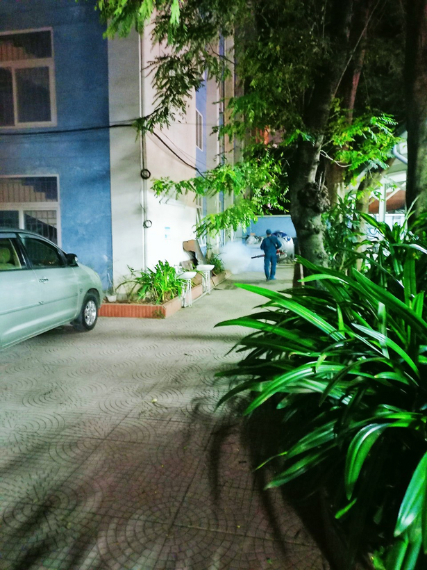 A picture containing outdoor, plant, greenDescription automatically generated