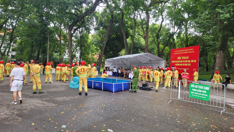 A picture containing tree, outdoor, ground, plantDescription automatically generated