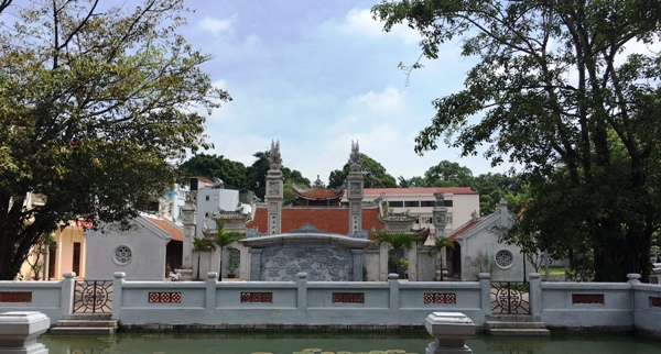 A picture containing tree, outdoor, plantDescription automatically generated