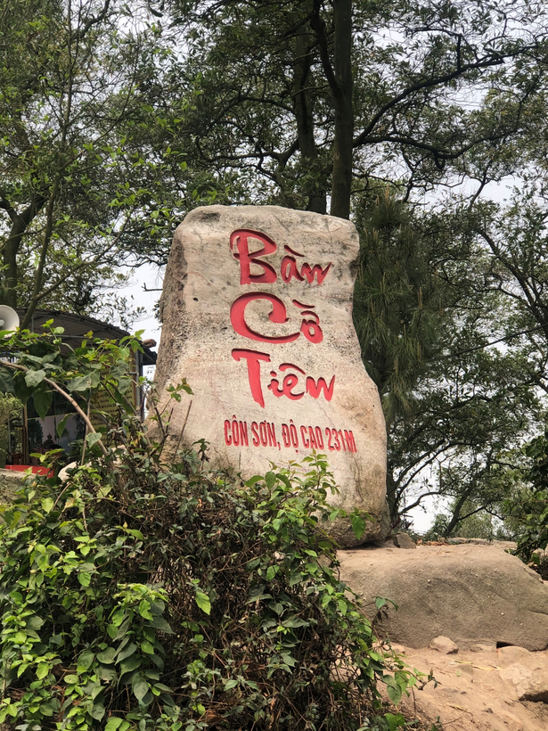 A picture containing text, tree, outdoor, signDescription automatically generated