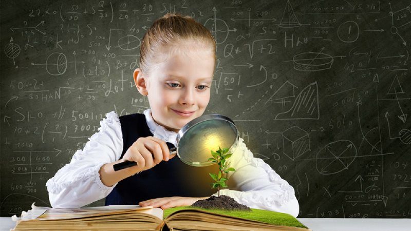 Top 5 cuốn sách nên đọc giúp trẻ phát triển tư duy - Hệ Thống Trường Hội  Nhập Quốc Tế