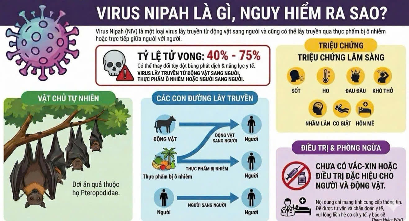 Khuyến cáo phòng chống dịch bệnh do vi rút Nipah